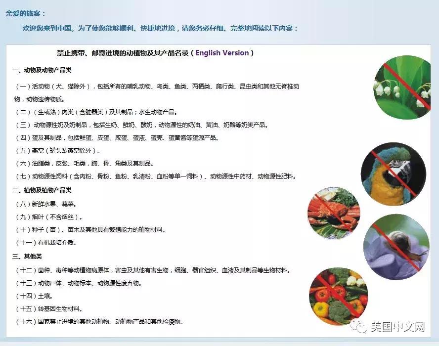 澳门何鸿燊长女,澳门大亨何鸿燊女儿