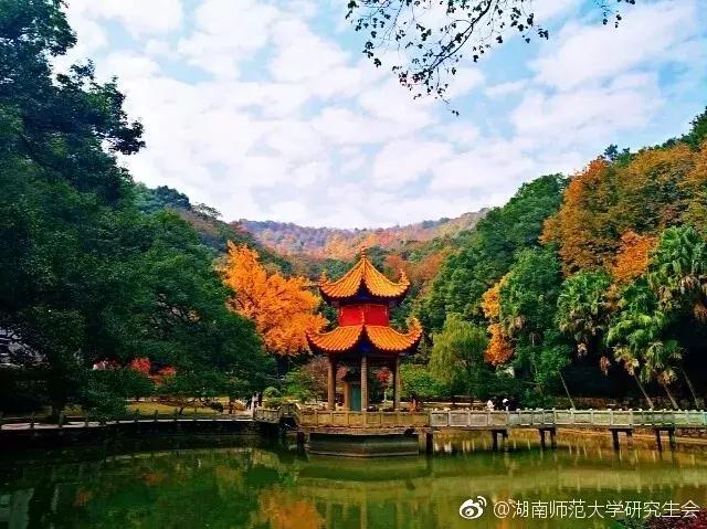 湖南师范大学毕业生去向：收入不高、工作难找