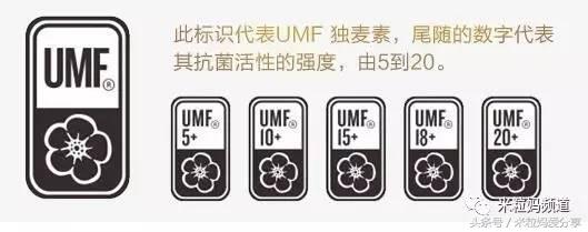 年货购物车简单美丽,年货节购物车全是美妆护肤