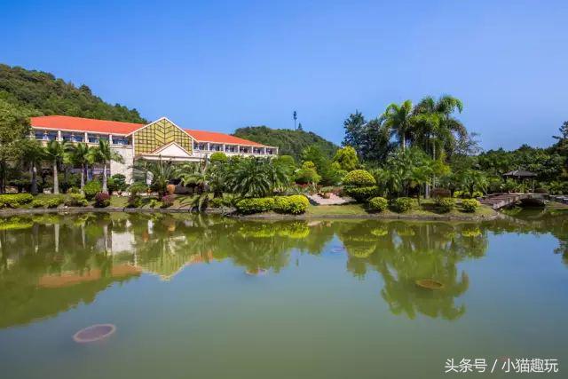 英德奇洞温泉特价门票多少钱一张,英德奇洞温泉度假区两日自驾游