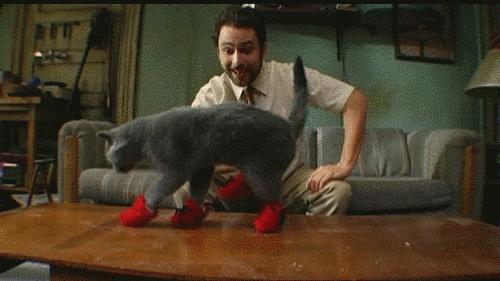 易烊千玺杨幂关晓彤鹿晗,易烊千玺杨幂中国风