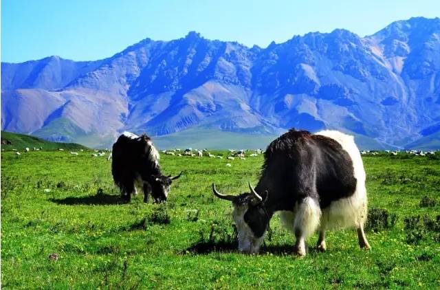 别去*藏西**了！从石家庄坐火车只有6站，天空之镜就在眼前！