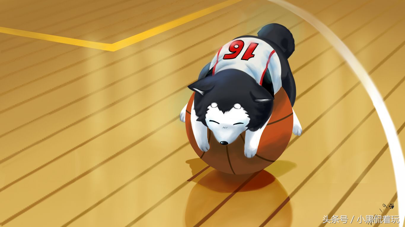 篮球初学者适合用哪款篮球,初学者如何选择适合自己的篮球