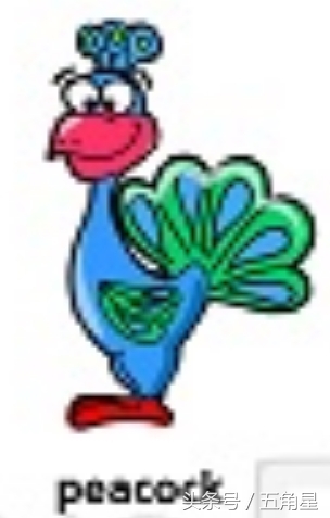 动物的英文单词都有哪些,动物英语单词13个