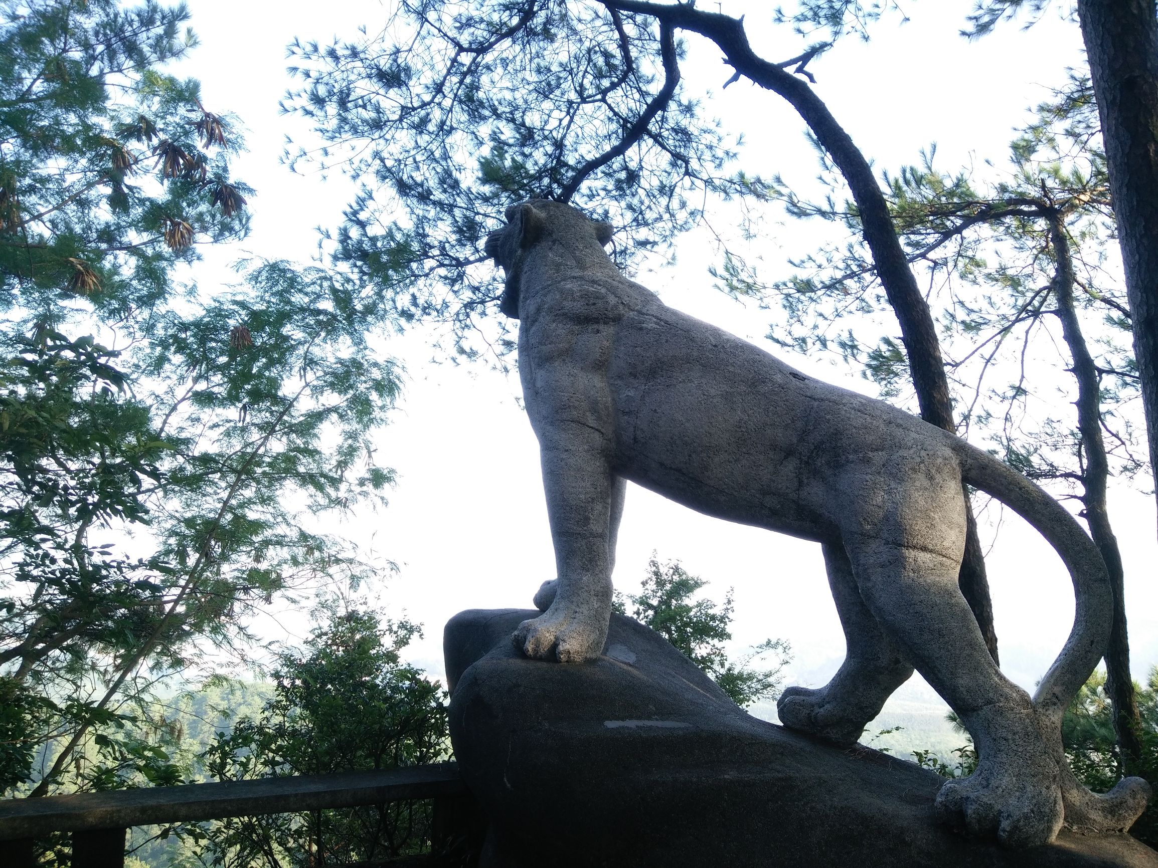 南宁桂林旅游哪个最好,广西南宁跟桂林哪个更值得去