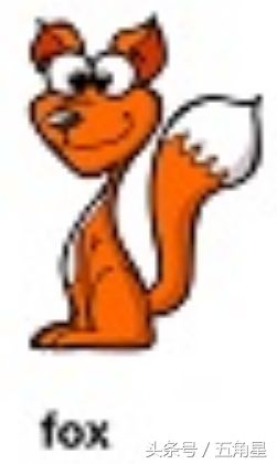 动物的英文单词都有哪些,动物英语单词13个