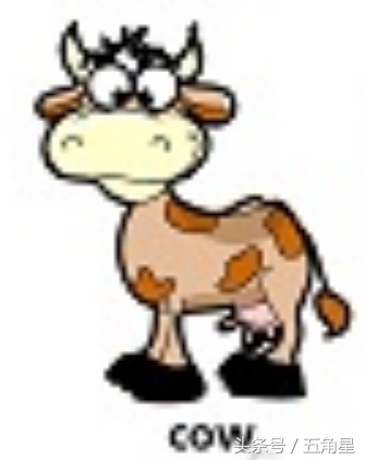 动物的英文单词都有哪些,动物英语单词13个