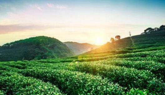 佛山美的鹭湖轻奢度假别墅,佛山美的鹭湖动森物语别墅