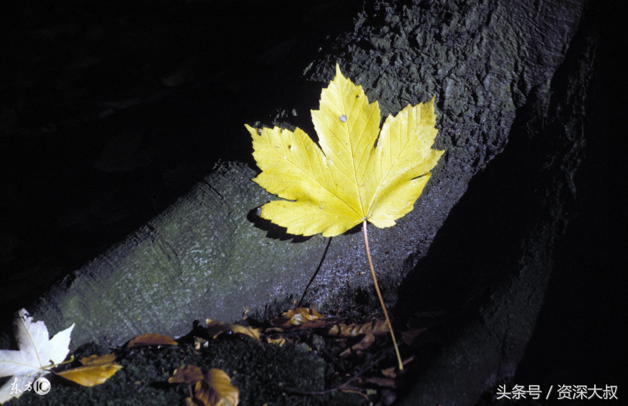 著名的足球解说,经典足球比赛回顾解说员开场白