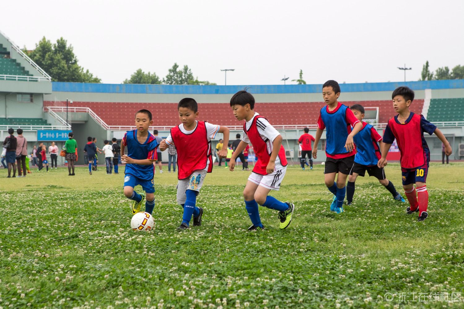 范大将军点评国足台词,范大将军调侃足球视频