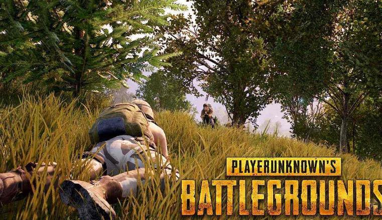 2020绝地求生全球赛奖金分配,绝地求生全球总决赛冠军给多少钱