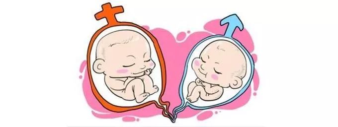 双子宫，一侧怀孕了另一侧也跟着放假？