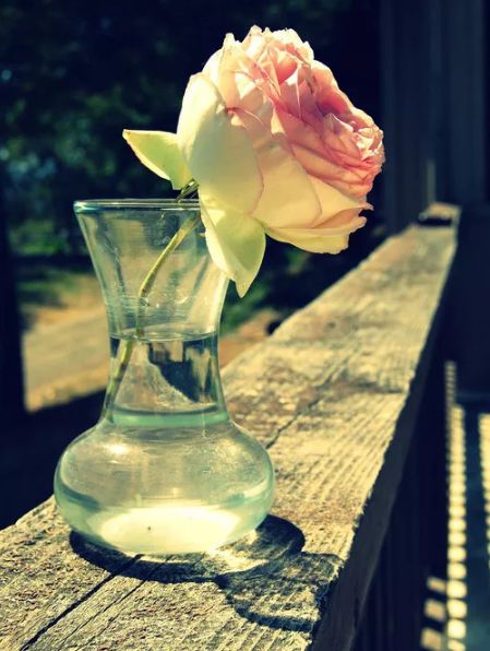 美文美照,美文美图诗词