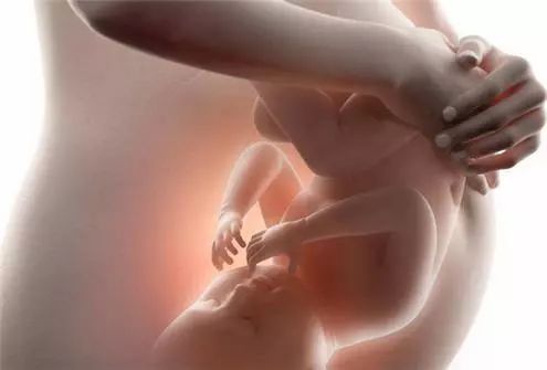 双子宫，一侧怀孕了另一侧也跟着放假？