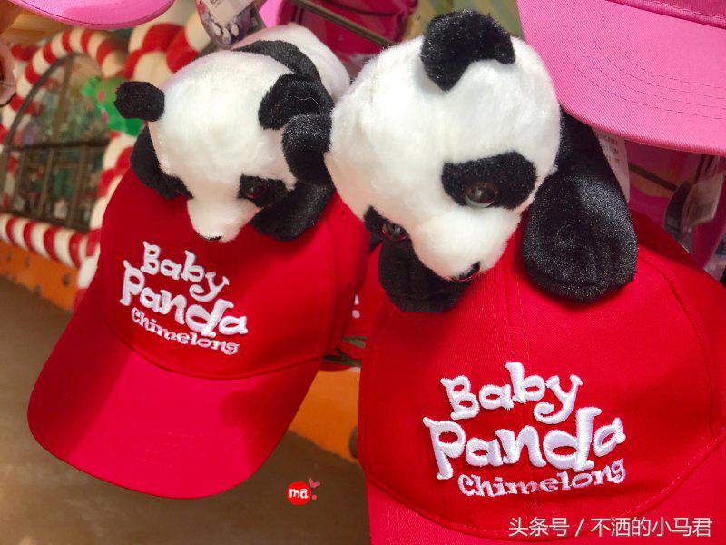 长隆野生动物园3天2晚亲子游,广州长隆野生动物园亲子游攻略