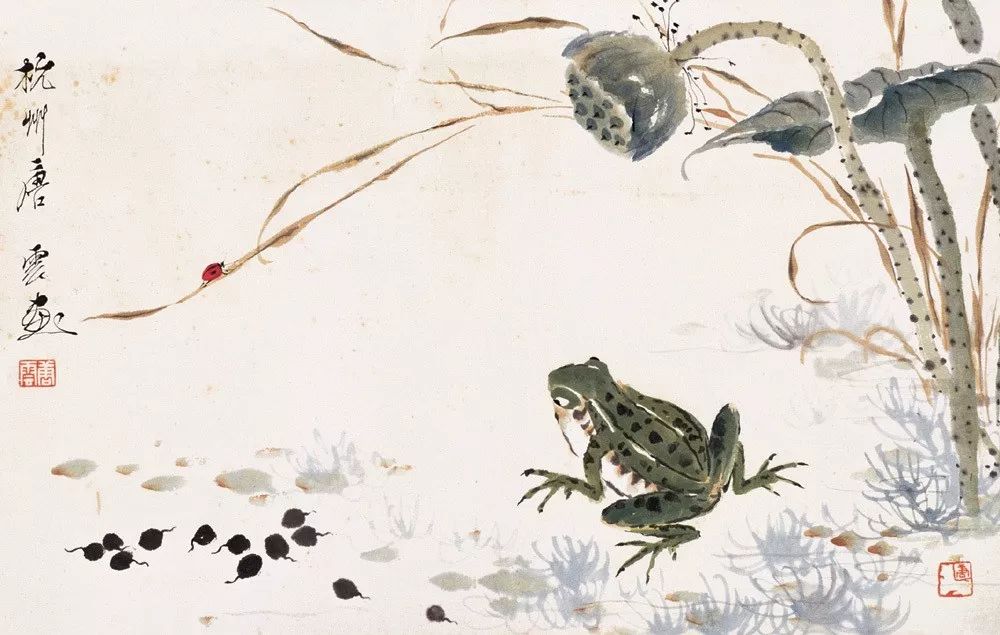 唐云早期花鸟作品欣赏,唐云先生花鸟条幅全集