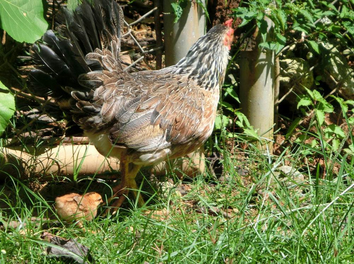 长滩之旅分享篇,长滩旅游行程