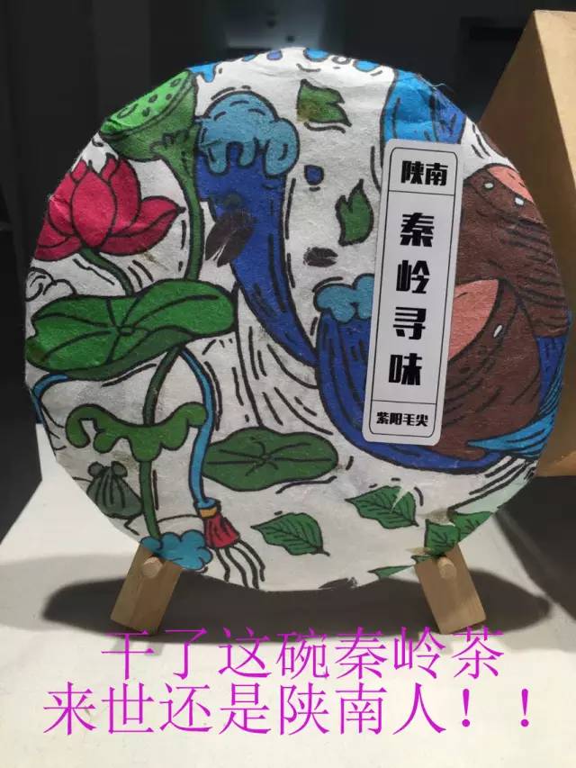 你们这么造秦岭，熊猫大大和朱鹮宝宝造吗？——极体营的小伙伴毕业了，他们的脑洞惊动了整个森林