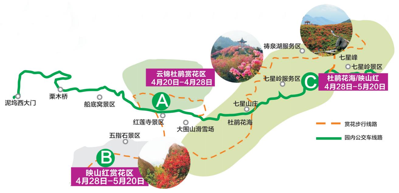 浏阳火爆的地方,浏阳今日旅游情况