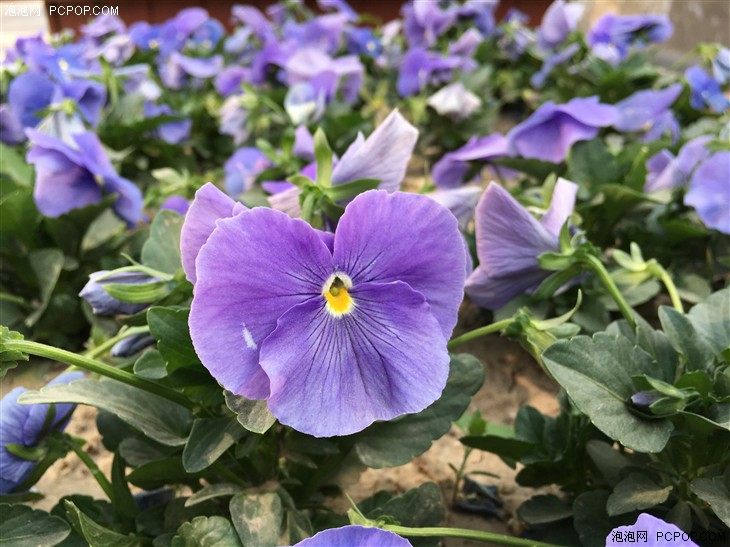 模块化可拆卸的手机,lgg5手机品质怎样