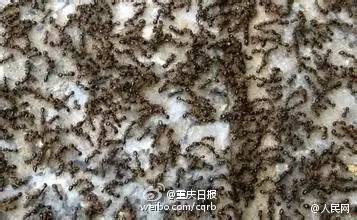 小伙子第一次做保健按摩,大爷给大妈按摩腰