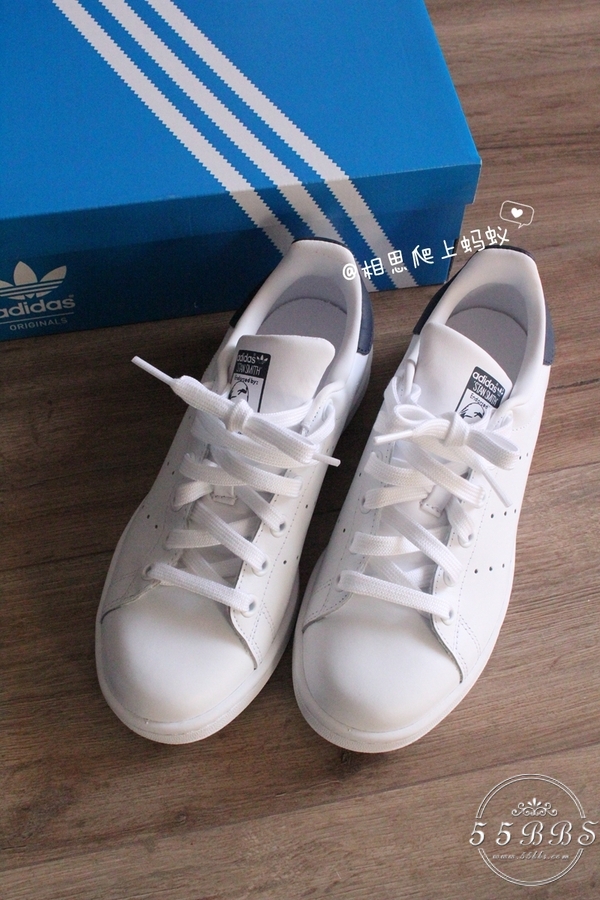 蚂蚁妈妈怀孕了,蚂蚁妈妈怀孕