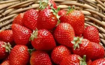 从a到z有氧,从a到z的成长