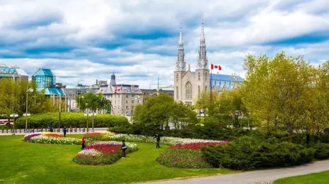 郁金香花节,全世界最大的郁金香