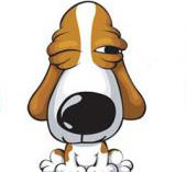 2016年12生肖运势解析,2016年十二生肖的运势会是什么样