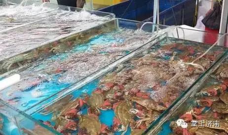 往水里扔一把“白色粉末”，一动不动的花蛤立马“回光返照”！这