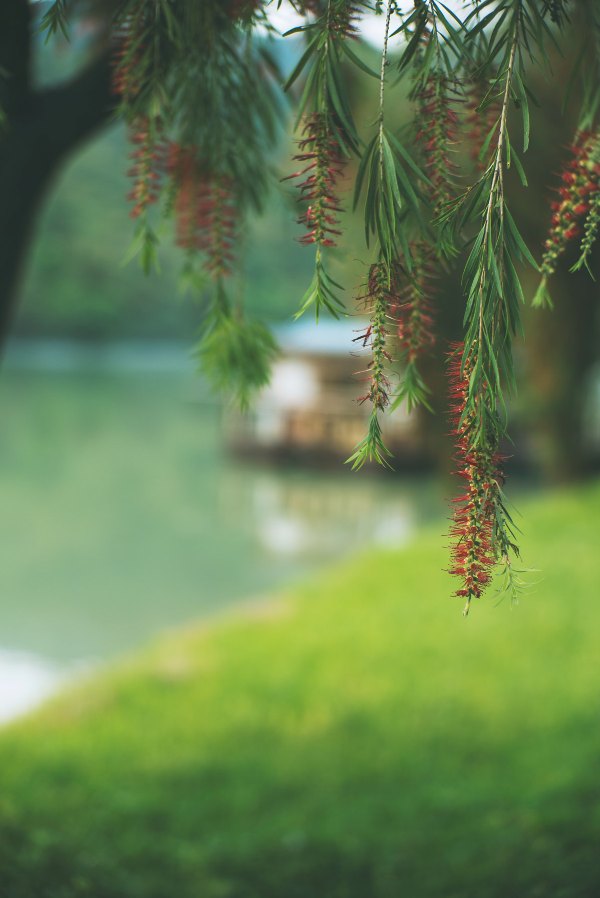 从化温泉之旅,从化文轩苑温泉攻略