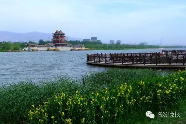 头条|我叫临汾，这是我的最新简历，请多关照！