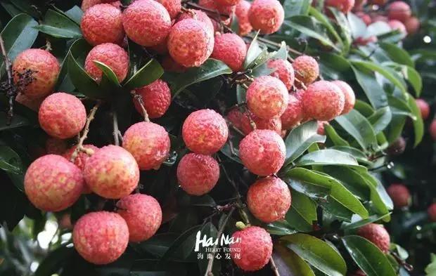 娴峰崡鐢蜂汉鐨勪紭缂虹偣,娴峰崡鐢蜂汉鍥涘ぇ鐞嗘兂