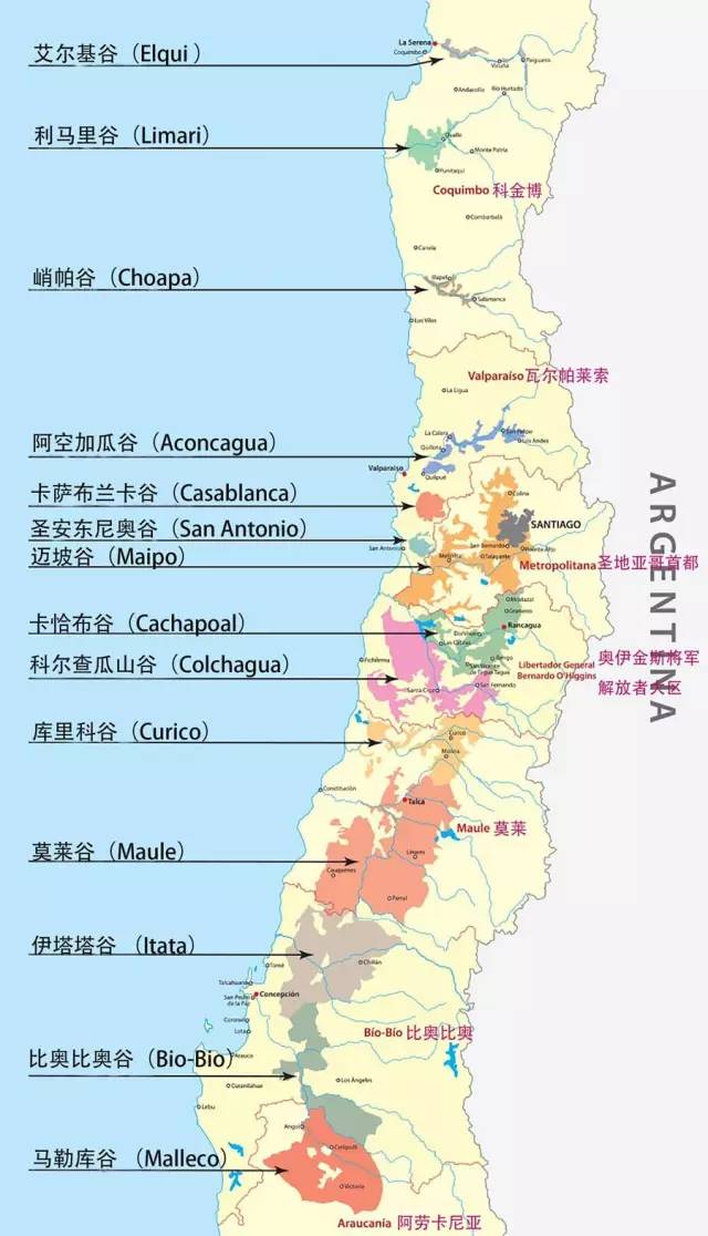 为什么要选择智利葡萄酒,教你三招选红酒