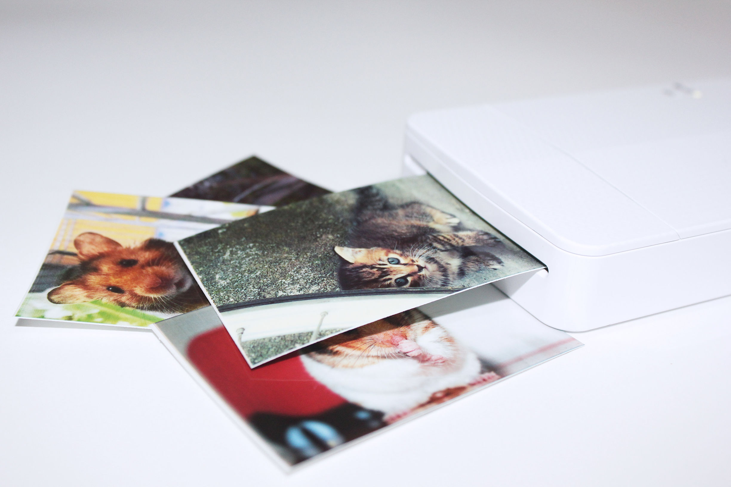 口袋照片打印机测评,口袋照片打印机1寸照片