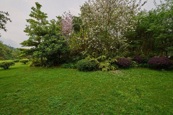 从化温泉之旅,从化文轩苑温泉攻略