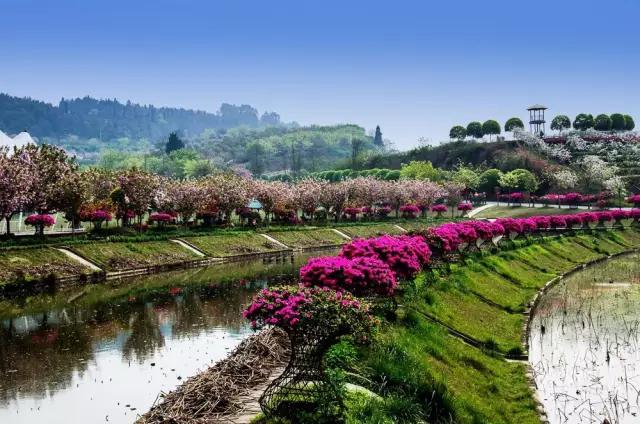 成都哪些区居住环境比较好,成都哪个县值得居住生活