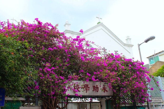 妈妈咪咪嘉年华的欢乐体验和香港郊区的生态怡然之旅