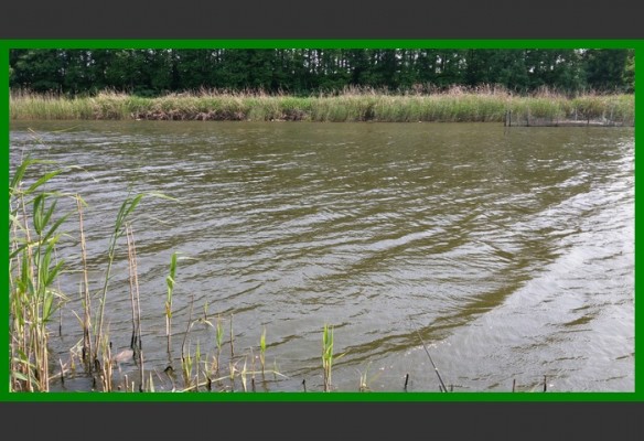 閲庨挀鐑х儰缁濅匠鐮佸ご,鎺ㄨ崘閽撻奔鐑х儰