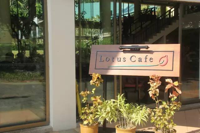 悦榕庄banyantree酒店,新加坡民丹岛酒店攻略