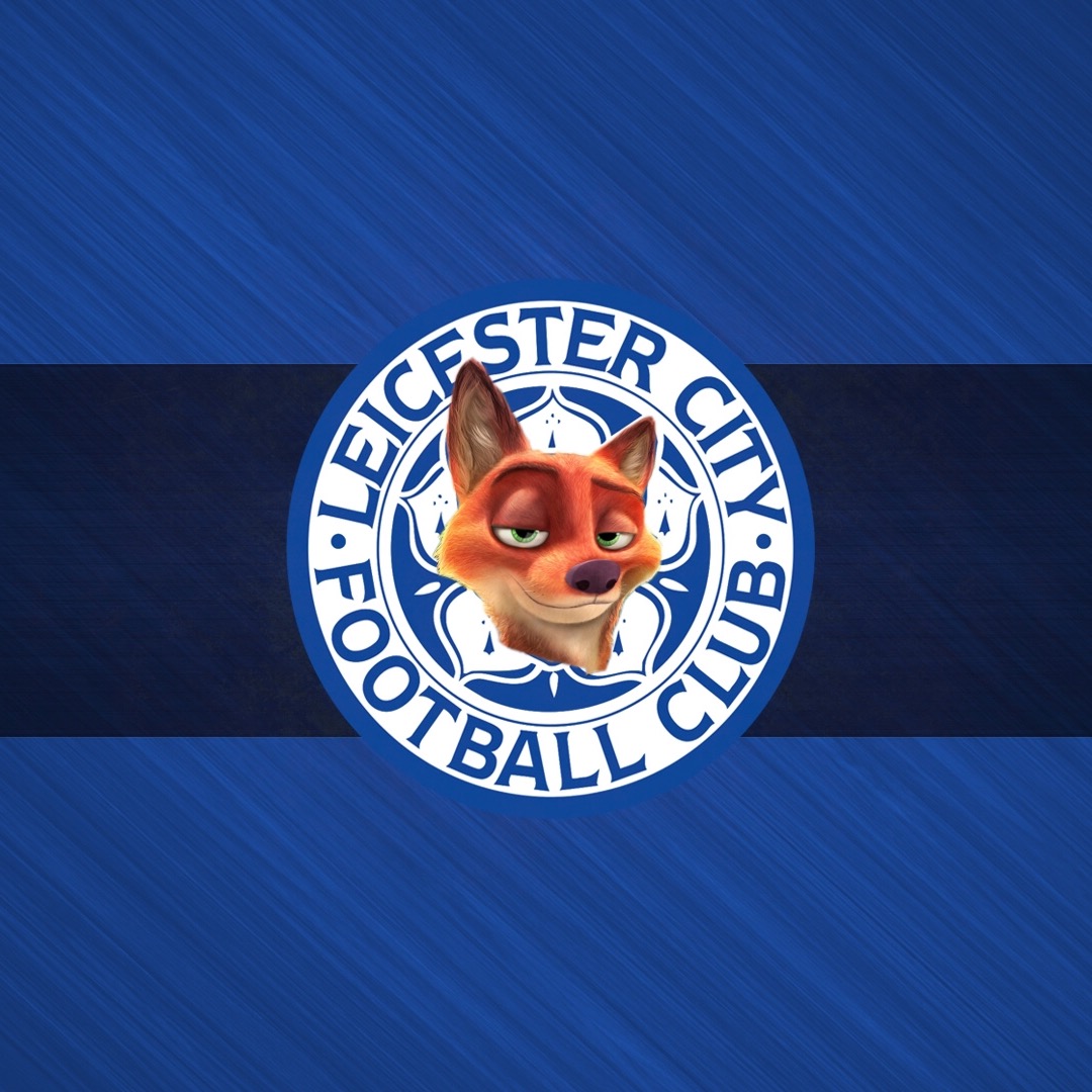 莱斯特孤僻性格,莱斯特城英超夺冠阵容名单