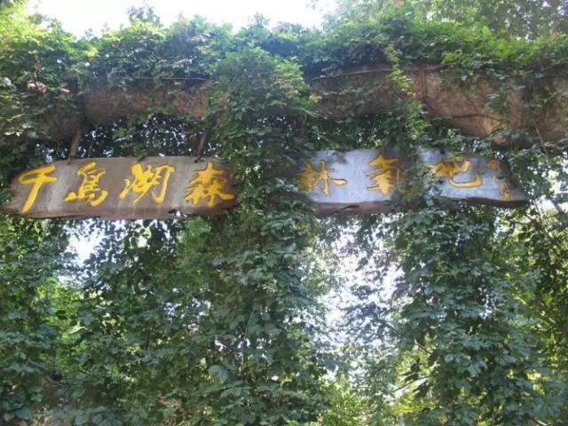 五一杭州千岛湖自驾游攻略,游千岛湖最佳季节