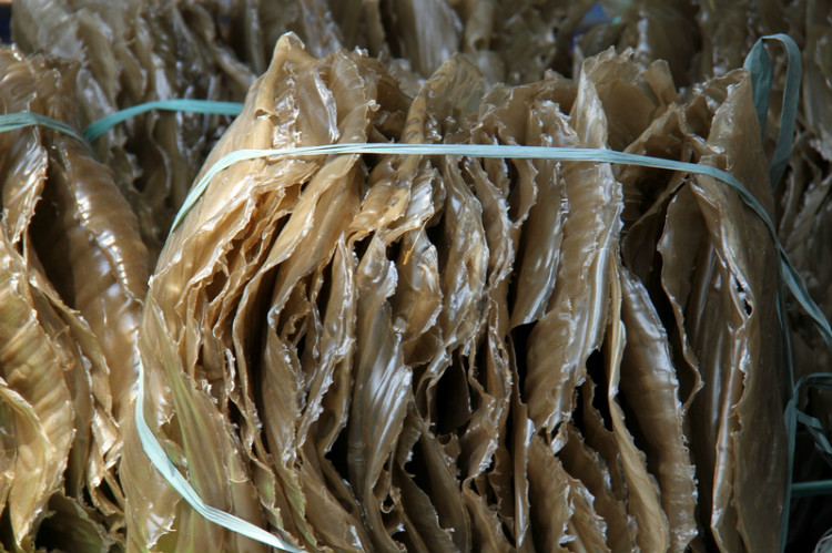 纯手工制作红薯粉皮美食,红薯粉皮机制作视频