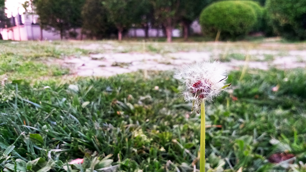 不止颜值，贵在创新：金立S8全面测评