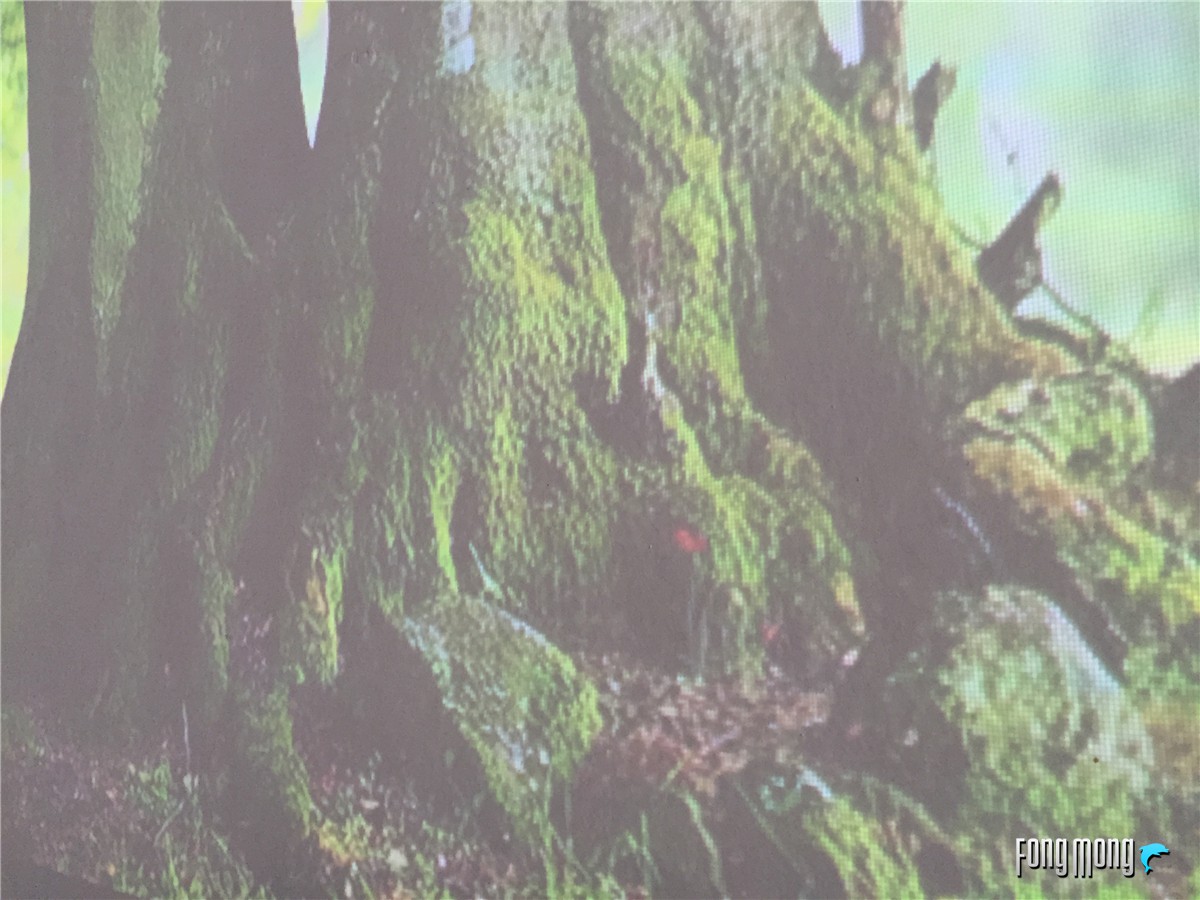 极米z4爵色投影仪是金色的么,极米z4x观影效果怎么样