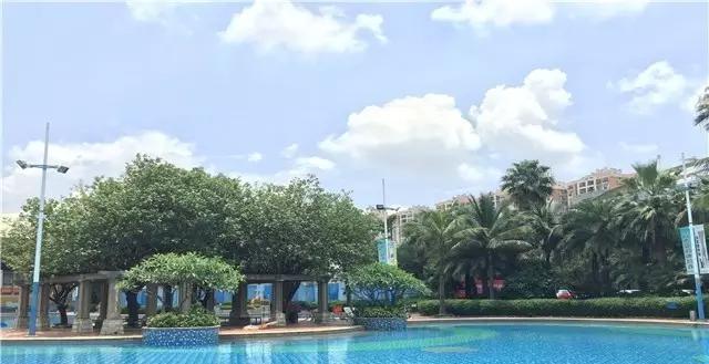 广州哪家游泳馆便宜又干净,广州东湖游泳馆开放时间