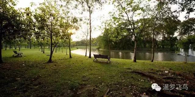 普吉岛休闲旅游全攻略,普吉岛旅游攻略地图高清