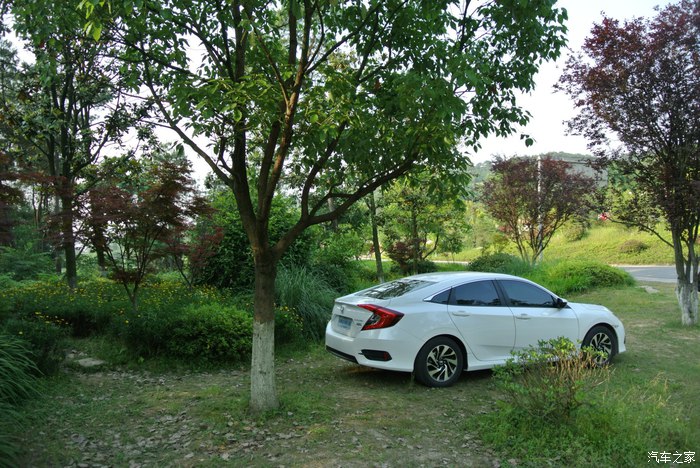 8万提全新思域,全新本田思域提车加价