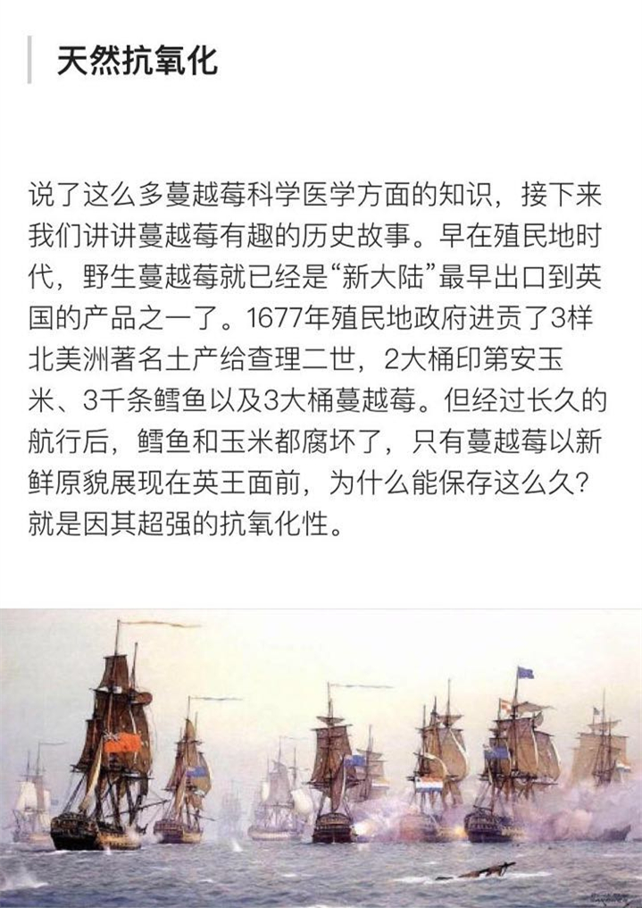 北美红宝石蔓越莓,北美红宝石蔓越莓干