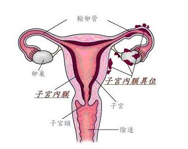 总也怀不上二胎怎么办,总也怀不上孩子